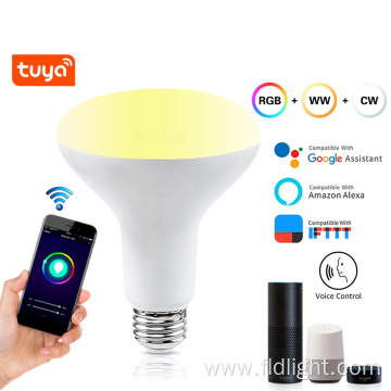 Indoor Smart Remote Control Multicolor Dimmable RGB